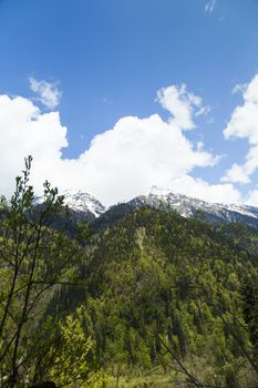 Mountains are covered with snow and the wood and surrounded with clouds