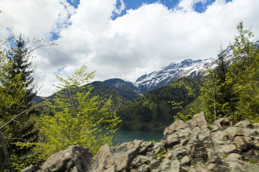 Mountains are covered with snow and the wood and surrounded with clouds