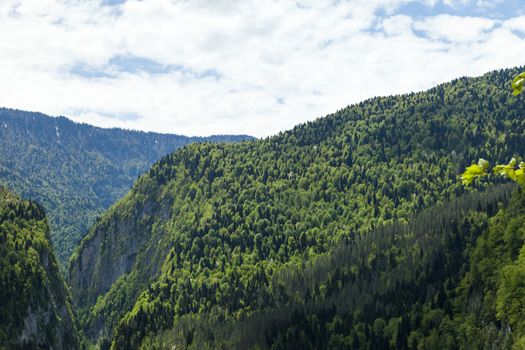 Mountains are covered with snow and the wood and surrounded with clouds