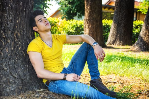 Attractive young man in park resting or sleeping against tree, relaxed in a sunny summer day