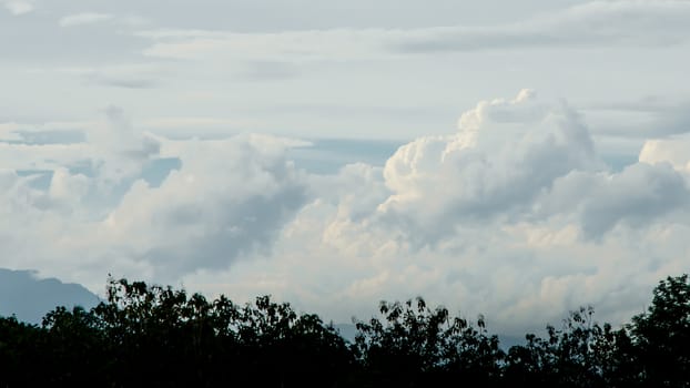 Cloudy sky with silhouette tree