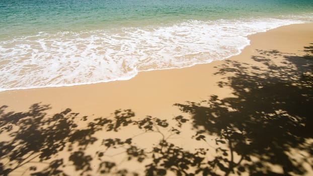 Nice beach with sea foam background