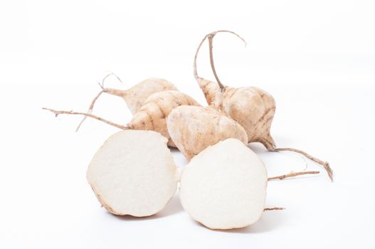 Whole Jicama isolated on white background