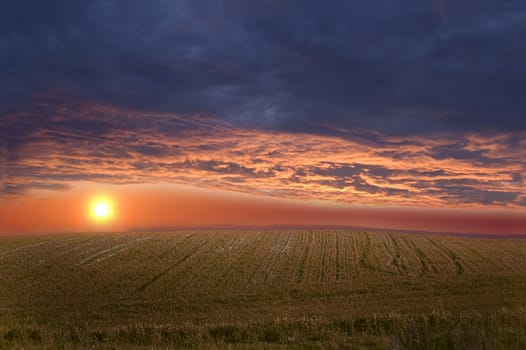 Field and sky at beautiful sundown scenery.