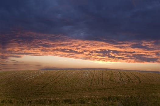 Field and sky at beautiful sundown scenery.