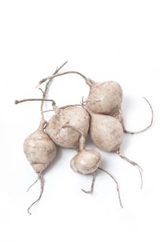 Whole Jicama isolated on white background