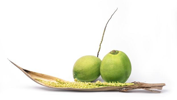 Coconut with spadix isolated on white background