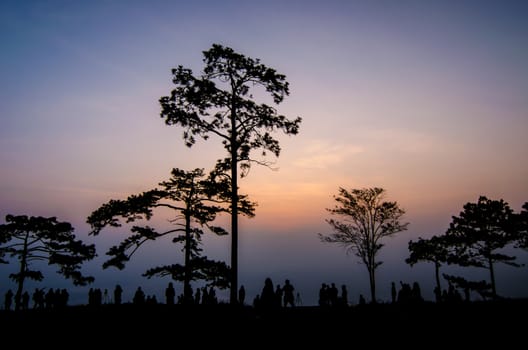 Silhouette of tourist at top of mountain wait for see sunrise