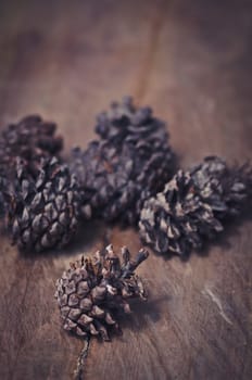 Conifer cone on wooden background, Vintage style