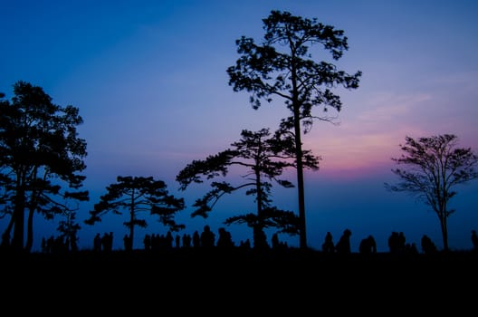 Silhouette of tourist at top of mountain wait for see sunrise