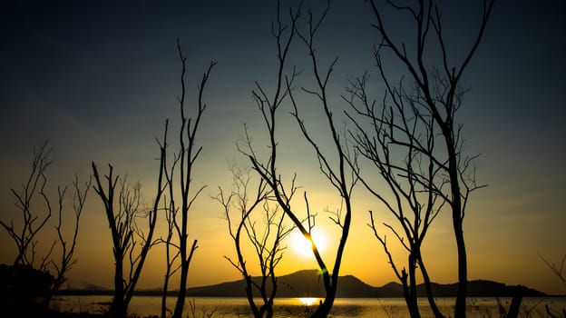 Dried tree beside lake and mountain with sunset sky background