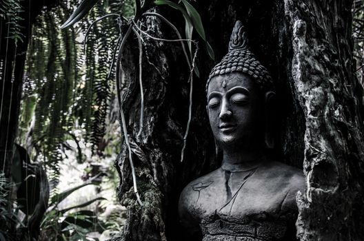 Buddha idol in old tree for garden decoration