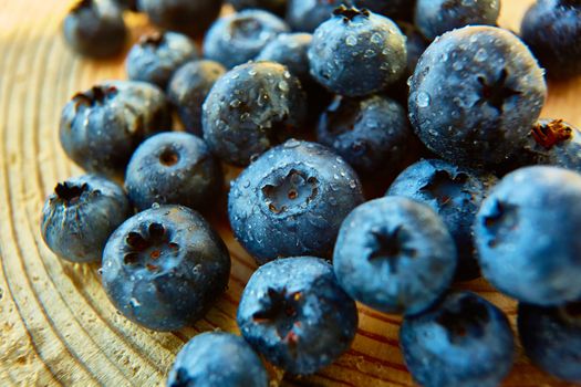 Freshly picked blueberries on wooden background. Shallow dof