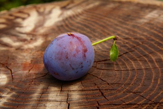 fresh plum on wooden table. Shallow dof