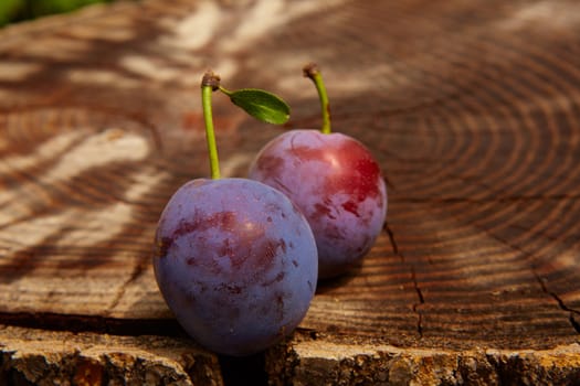 fresh plums on wooden table. Shallow dof