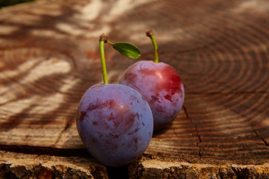fresh plums on wooden table. Shallow dof