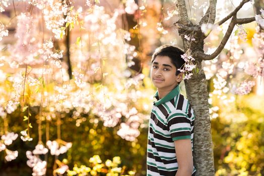 A handsome teenager enjoying the spring flowers
