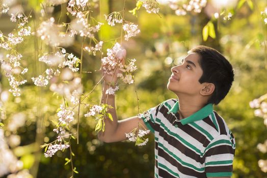 An handsome youung teenager enjoying spring flowers 