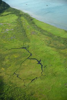 an aerial view of alaska wetland near king salmon