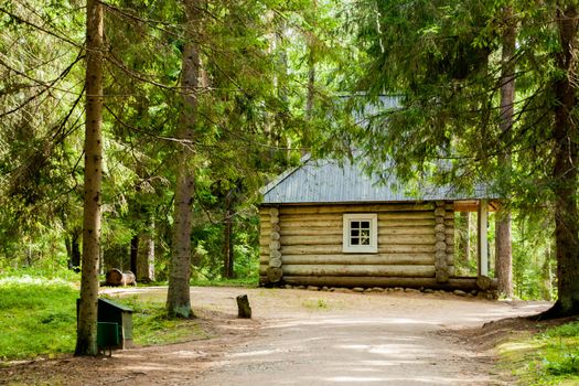 Log house in the Russian coniferous forest in summer