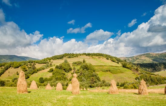 many haystacks on field in the Ukrainian Carpathians