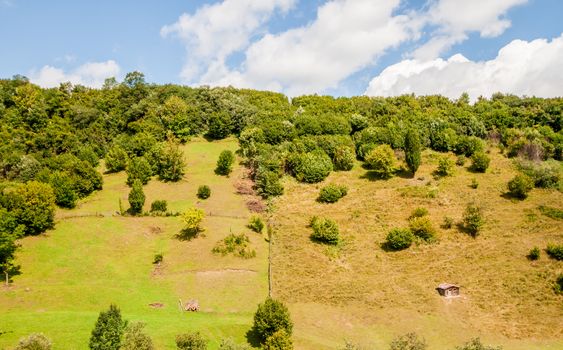 mountain in the Ukrainian Carpathians with forest and small shelter