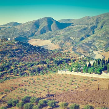 Olive Groves and Plowed Sloping Hills around the Cemetery in Spain, Instagram Effect