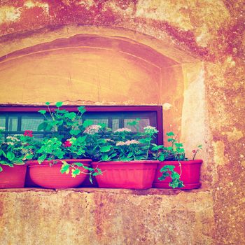 Italian Window Decorated with Fresh Flowers, Instagram Effect
