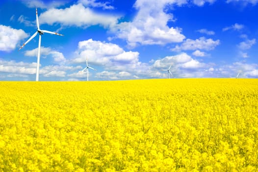 Windmills conceptual image. Windmill on yellow field in summer.