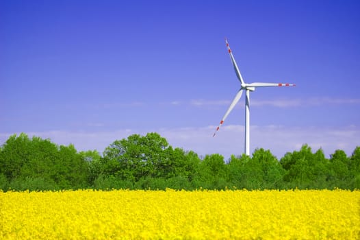 Windmill conceptual image. Windmill on yellow field in summer.