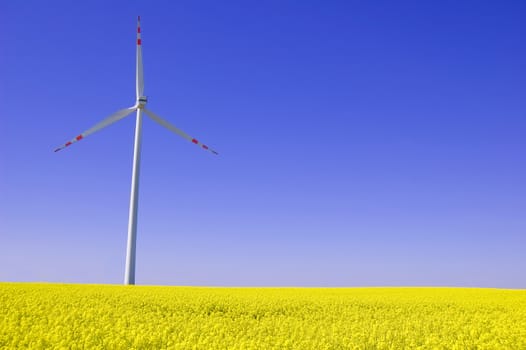 Windmill conceptual image. Windmill on yellow field in summer.