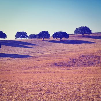 Sloping Hills of Portugal in the Autumn, Instagram Effect