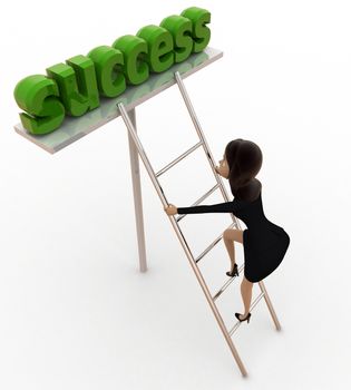 3d woman climb ladder of success concept on white background,  top  angle view