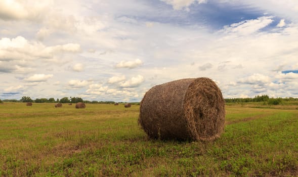 the bale of hay lying on the field against the sky