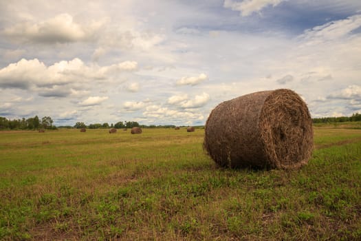 the bale of hay lying on the field against the sky