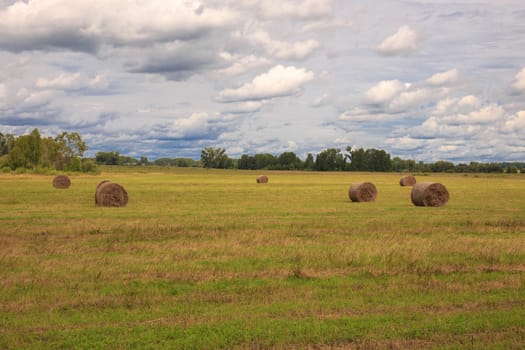 the bale of hay lying on the field against the sky