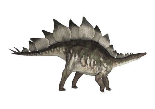 3D digital render of a dinosaur stegosaurus isolated on white background