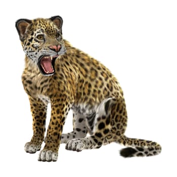 3D digital render of a big cat jaguar jumping isolated on white background