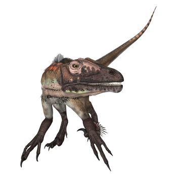 3D digital render of a dinosaur utahraptor isolated on white background