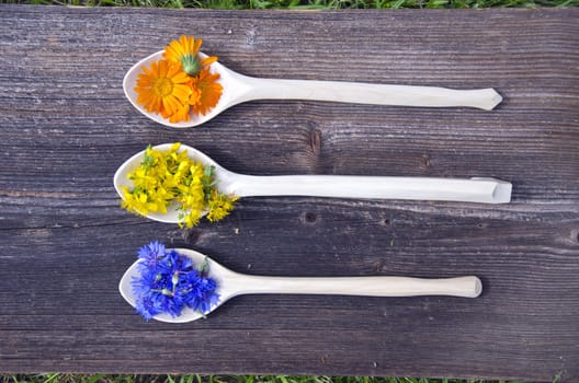 medical herbs flowers in new wooden spoons - cornflower, marigold and st. Johns wort