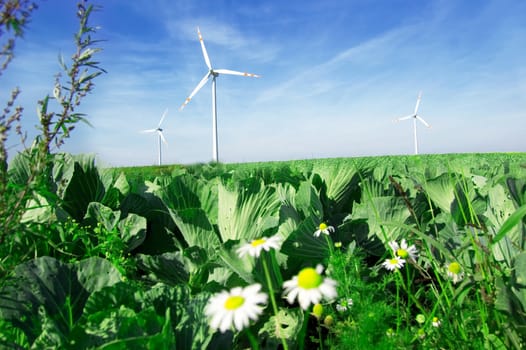 Energy conceptual image. Windmills on cabbage field.