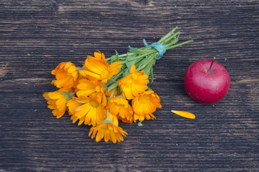 medical calendula marigold flower bunch and red apple on old wooden plank