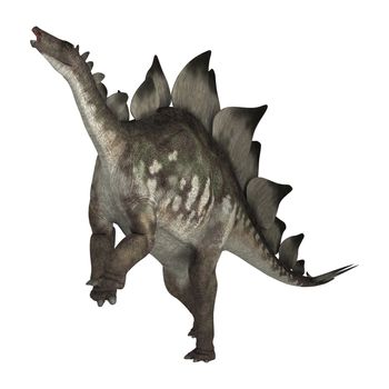 3D digital render of a dinosaur stegosaurus isolated on white background