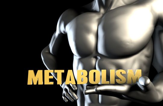 Metabolism With a Business Man Holding Up as Concept