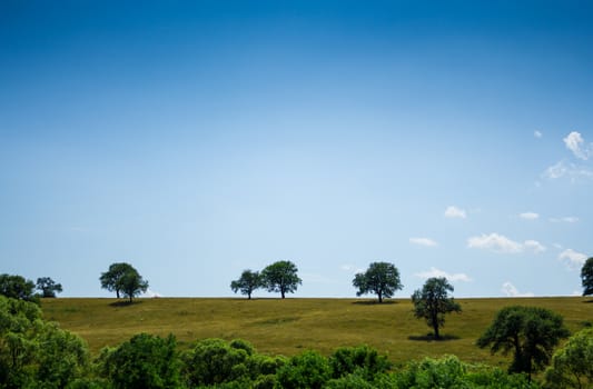 A shot of a poor hill made in Romania