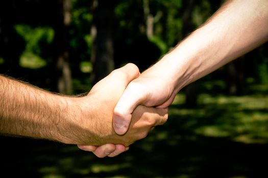 Two friends closing a deal with a handshake in the forest