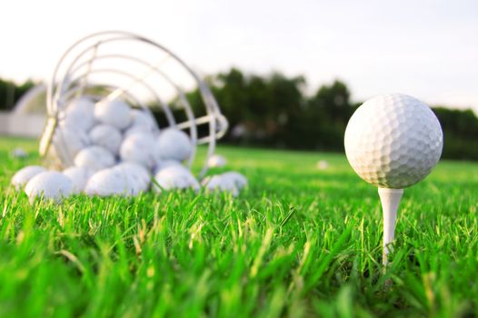 Golf game. Golf balls in grass.