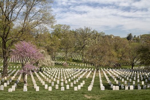 The Arlington National Cemetery in Virginia, USA