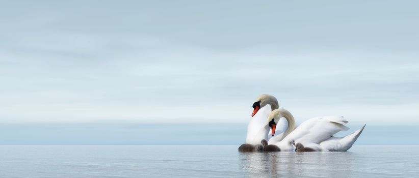 Swan family floating over by blue day - 3D render