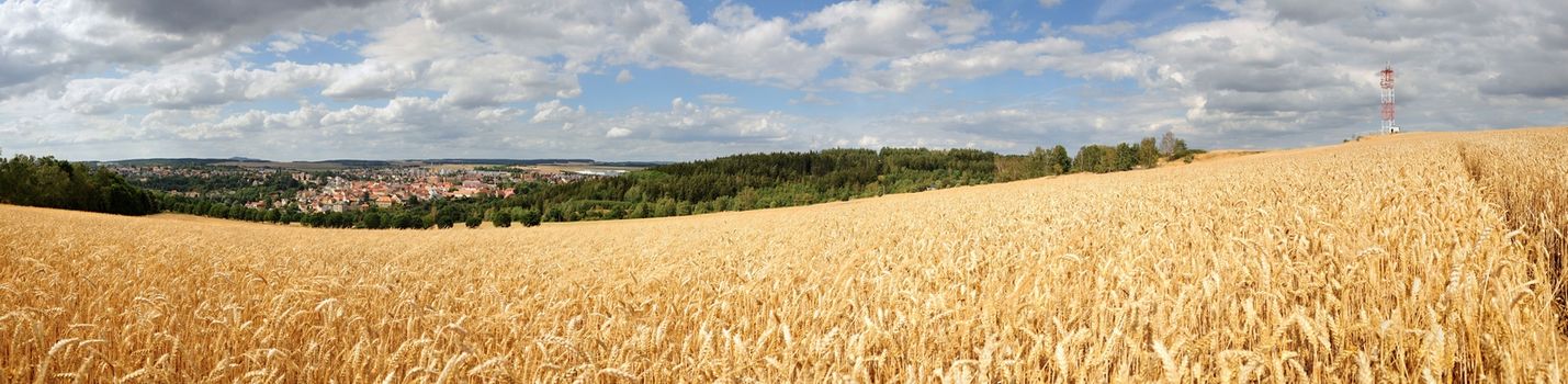 Summer panorama cornfield and a small city under blue skies